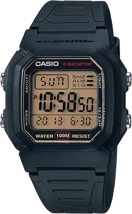 Часы Casio TIMELESS COLLECTION W-800HG-9AVEF