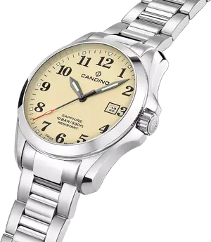 Часы Candino Field C4785/1 + 2 ремешка