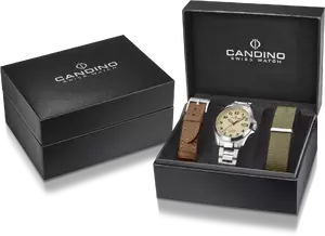 Часы Candino Field C4785/1 + 2 ремешка