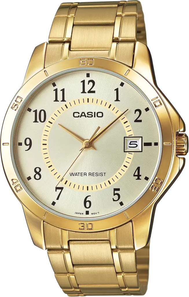 Часы Casio TIMELESS COLLECTION MTP-V004G-9BUDF